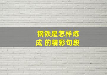 钢铁是怎样炼成 的精彩句段